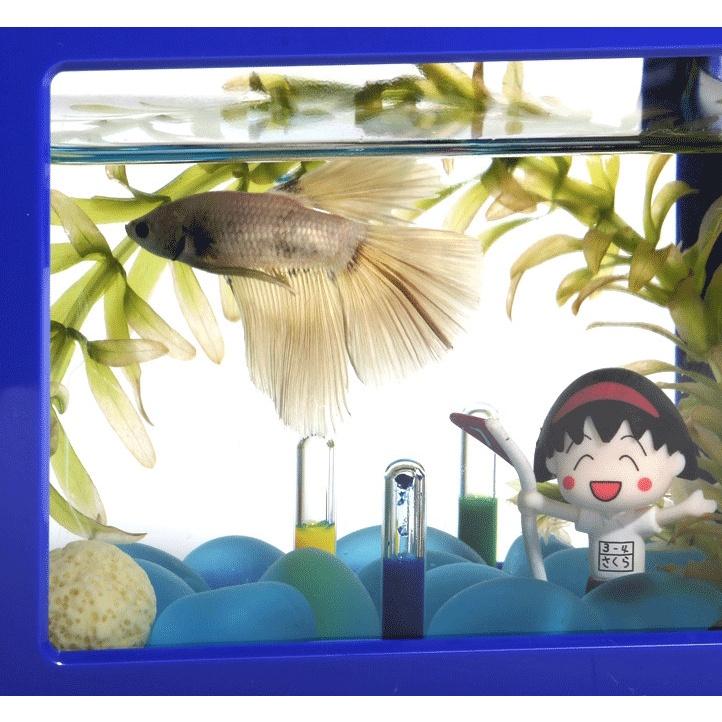 【小魚生活館台灣現貨】水族造景 水中不倒翁 擺飾裝飾 開發票-細節圖2