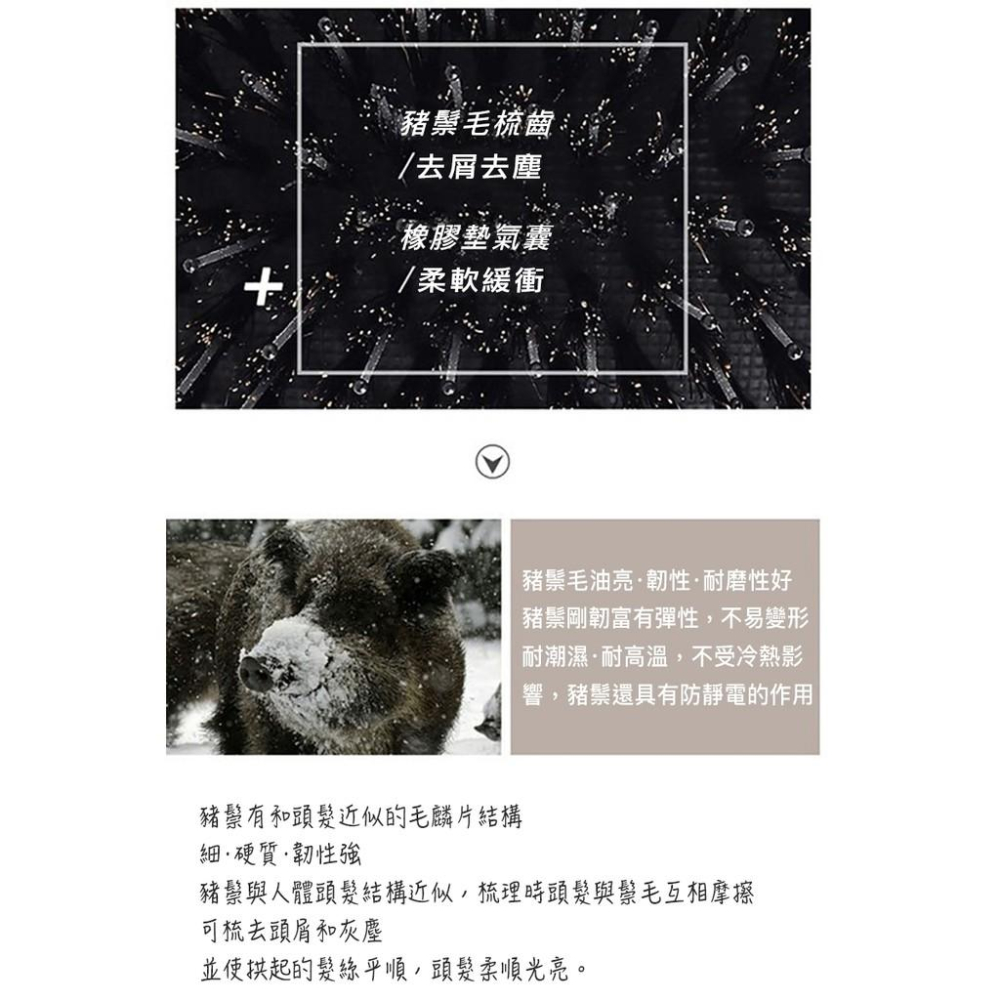 【小魚生活館台灣現貨】莫蘭迪色豬鬃氣墊按摩梳-細節圖4