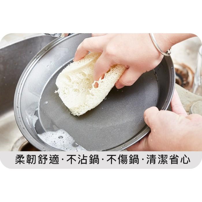 【小魚生活館台灣現貨】純天然絲瓜絡洗碗布-細節圖6