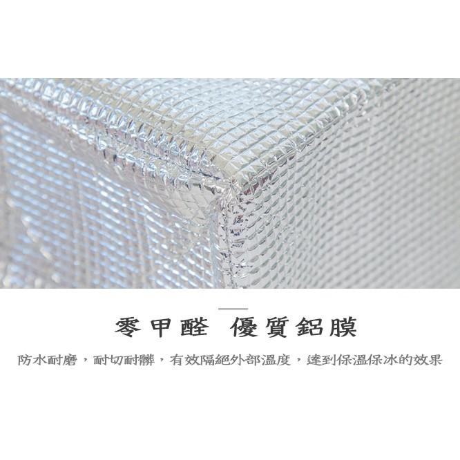 【小魚生活館台灣現貨】聯名小魚保冰保溫袋 開發票-細節圖4