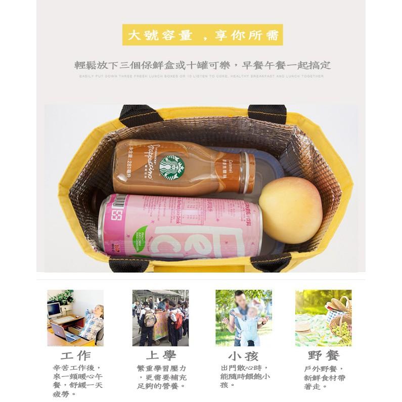 【小魚生活館台灣現貨】聯名小魚保冰保溫袋 開發票-細節圖9