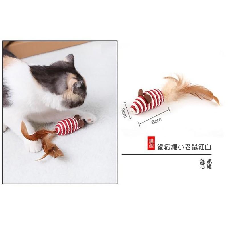 【小魚生活館台灣現貨】貓主子逗趣七件組-細節圖7