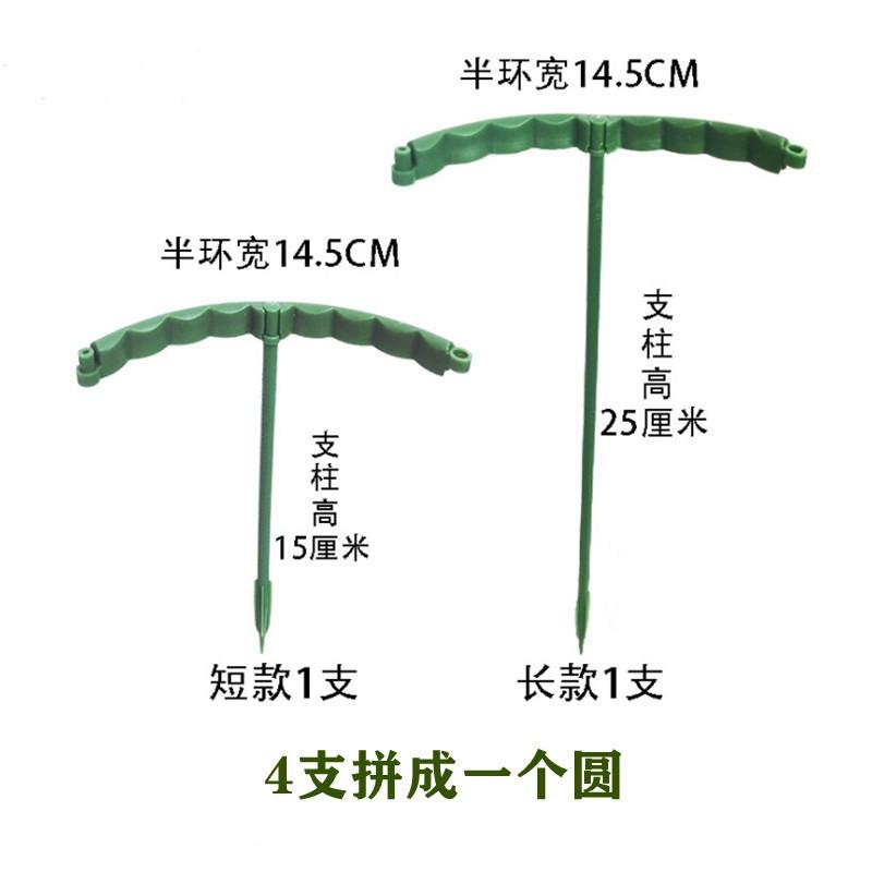 【小魚生活館台灣出貨】花盆防倒蟹爪支架 蘭花 植物 防護架 盆栽 支撐桿 植栽 花園-細節圖5