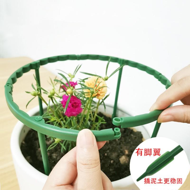 【小魚生活館台灣出貨】花盆防倒蟹爪支架 蘭花 植物 防護架 盆栽 支撐桿 植栽 花園-細節圖6