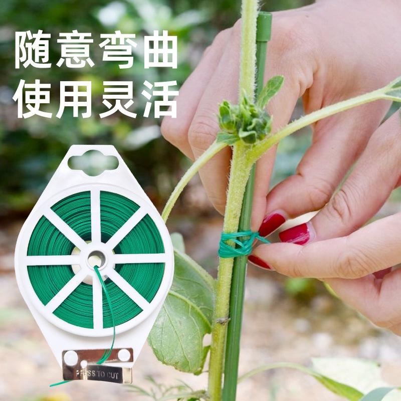 【小魚生活館台灣出貨】園藝綁帶 捆紮帶鐵絲植物固定繩花盆庭院種植果樹爬藤植物花草樹木-細節圖3