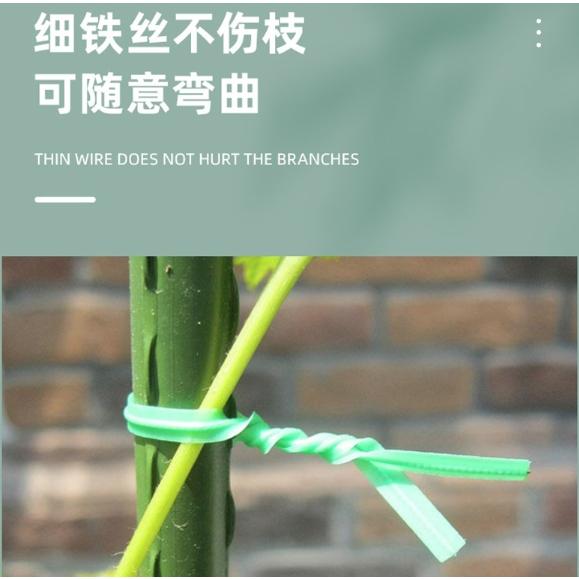【小魚生活館台灣出貨】園藝綁帶 捆紮帶鐵絲植物固定繩花盆庭院種植果樹爬藤植物花草樹木-細節圖7