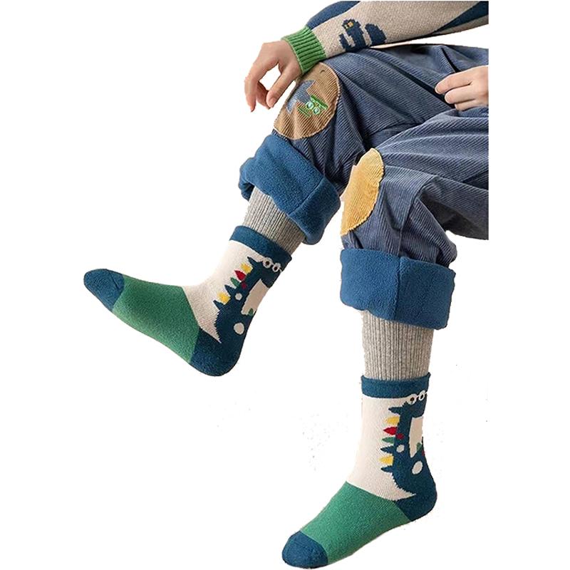 【小魚生活館台灣出貨】恐龍毛圈加厚保暖童襪1組5雙 兒童襪子 兒童冬天保暖襪 毛襪 加厚保暖襪 男童襪子-細節圖2