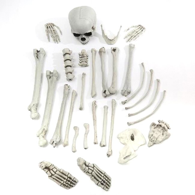 人體骨片 萬聖節 骷髏骨架包(28片) 骷髏頭 骨頭 散骨 白骨 人體模型 密室逃脫 鬼屋布置-細節圖2