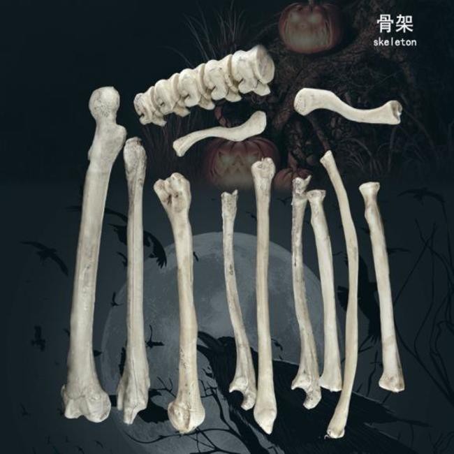 人體骨片 萬聖節 骷髏骨架包(28片) 骷髏頭 骨頭 散骨 白骨 人體模型 密室逃脫 鬼屋布置-細節圖5