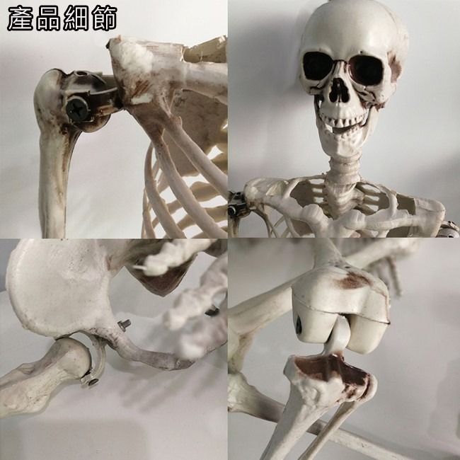 萬聖節 全身骷髏 (90cm) 造型骷髏頭 骷髏骨架 人體骷顱頭 人體模型 布置 鬼屋 整人【W44001203】-細節圖5