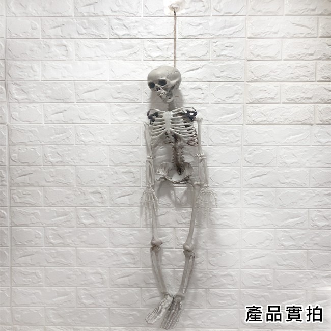 萬聖節 全身骷髏 (90cm) 造型骷髏頭 骷髏骨架 人體骷顱頭 人體模型 布置 鬼屋 整人【W44001203】-細節圖6