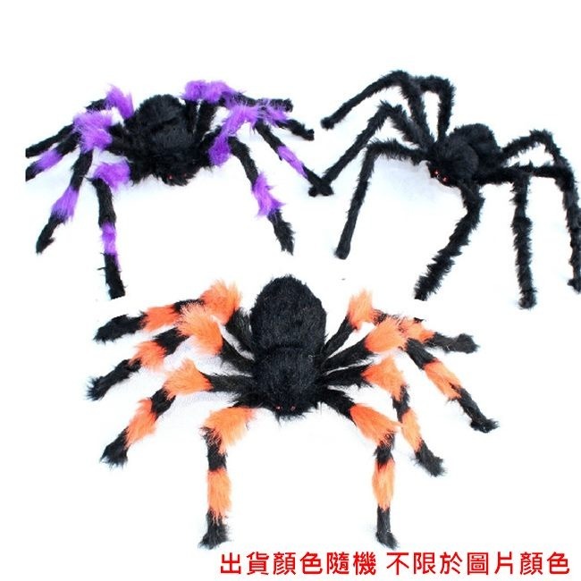 假蜘蛛 (50-90CM) 萬聖節 毛絨蜘蛛 毛蜘蛛 蜘蛛網 蜘蛛人蜘蛛俠 鬼屋 裝飾 道具 布置 整人【W55000】-細節圖4