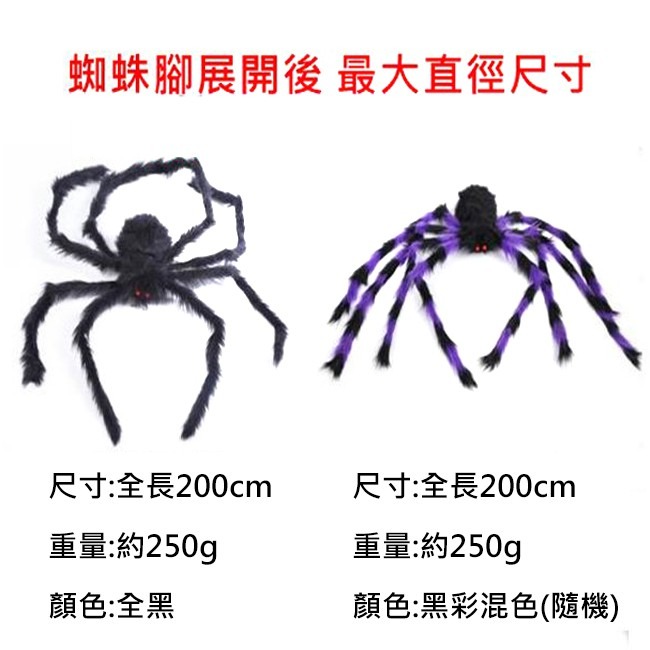萬聖節 毛絨 蜘蛛(200cm) 假蜘蛛 大蜘蛛 絨毛蜘蛛 黑蜘蛛 蜘蛛人 鬼屋布置 鬼月裝飾【W55002001】-細節圖2