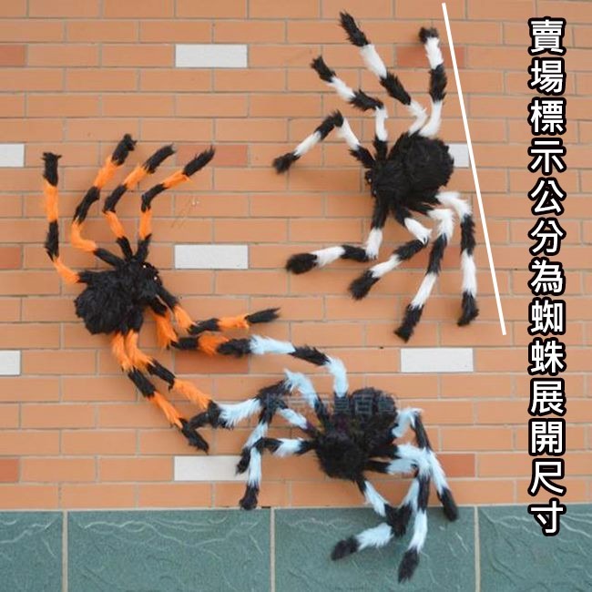 萬聖節 毛絨 蜘蛛(200cm) 假蜘蛛 大蜘蛛 絨毛蜘蛛 黑蜘蛛 蜘蛛人 鬼屋布置 鬼月裝飾【W55002001】-細節圖4