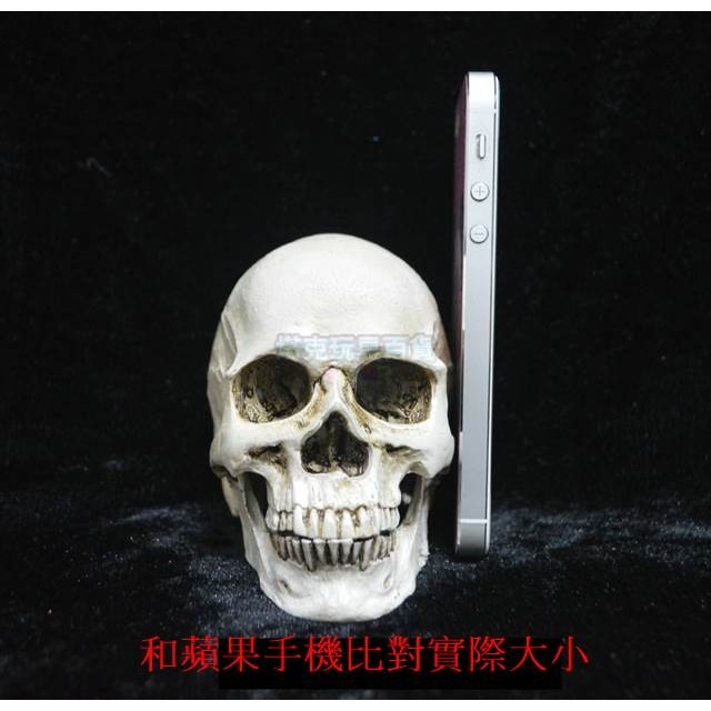 可分離款(小號) 頭骨 骷顱 假頭骨 上下顎分離頭骨萬聖節 高質量仿真 骷顱頭 骷髏頭 搞怪/惡搞【W66000301】-細節圖4