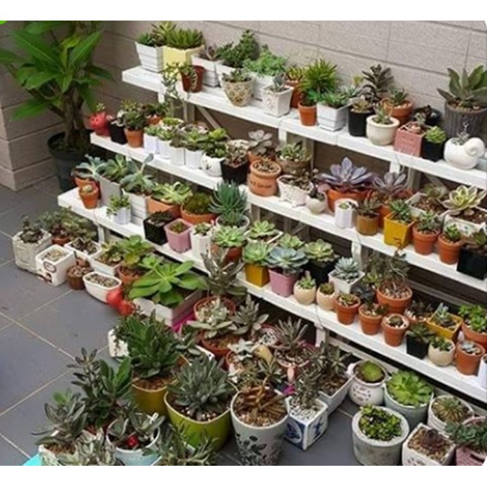 三層架 塑膠架 園藝 展示架 花圃架 收納架 置物架 多肉 3層花架 MIT 2106【H22000602】-細節圖2