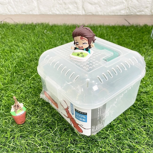 昆蟲飼育箱 手提寵物箱 (小) 寵物箱 手提採集箱 觀察箱 飼育盒 倉鼠 蠶寶寶 甲蟲 飼育箱【H22003401】-細節圖5