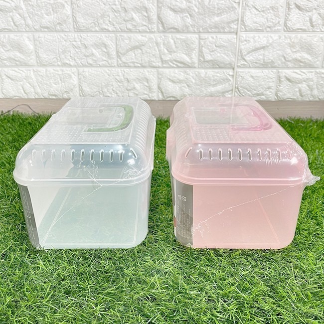 手提寵物箱 (大) 寵物箱 手提採集箱 觀察箱 飼育盒 昆蟲飼育箱 隔離盒 倉鼠 蠶寶寶【H22003501】-細節圖6