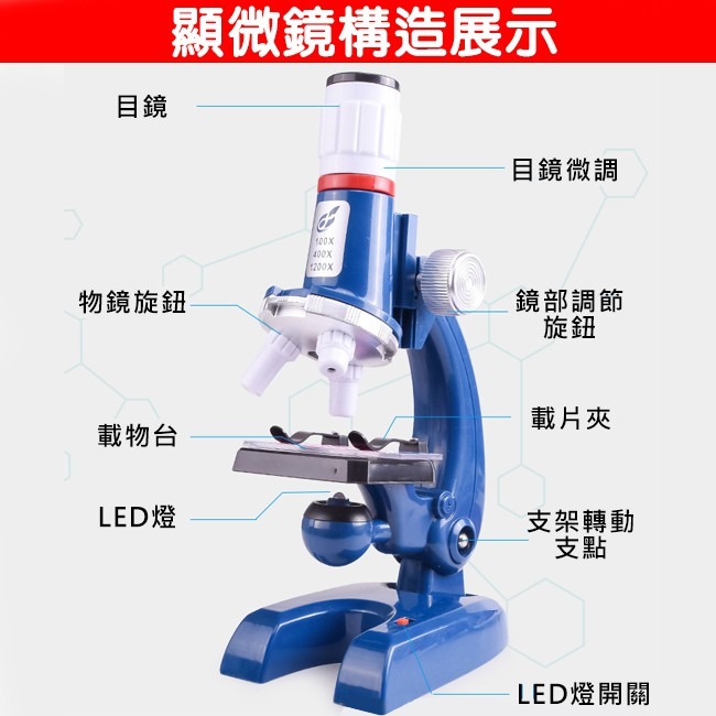 兒童 顯微鏡 (含手機支架) 生物顯微鏡 放大鏡 生物科學 細胞 科學玩具 實驗 DIY【T33001301】-細節圖4
