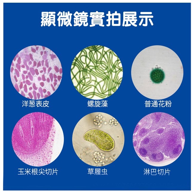 兒童 顯微鏡 (含手機支架) 生物顯微鏡 放大鏡 生物科學 細胞 科學玩具 實驗 DIY【T33001301】-細節圖5