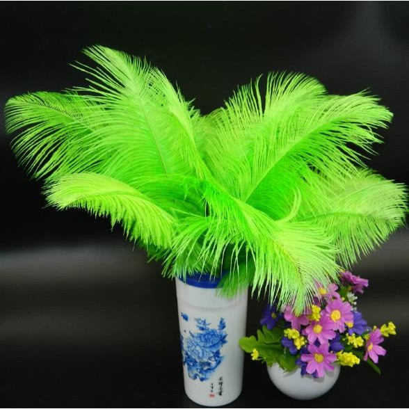 12色 羽毛 鴕鳥羽毛(20-25cm) 鴕鳥毛 DIY 孔明扇硬羽毛 天然羽毛 軟羽毛 彩色羽毛【P550014】-細節圖3