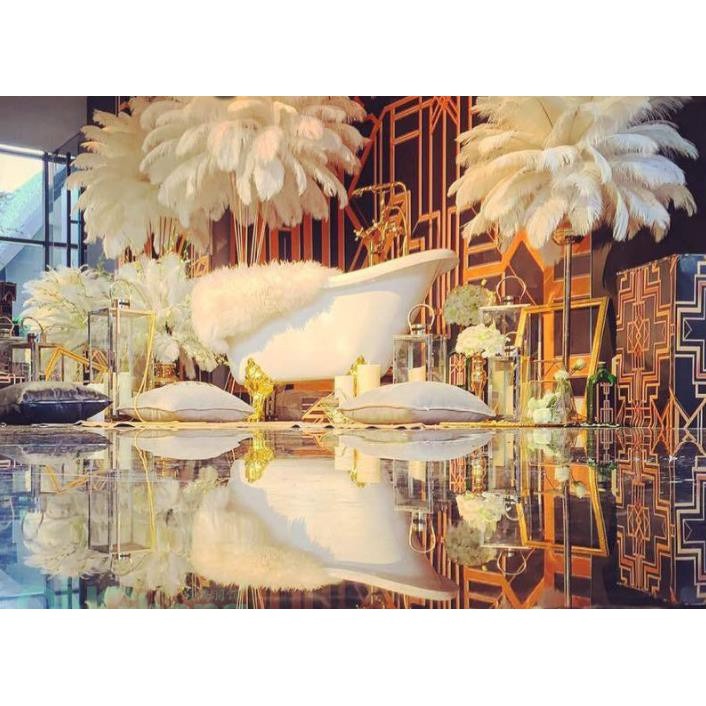 12色 羽毛 鴕鳥羽毛(20-25cm) 鴕鳥毛 DIY 孔明扇硬羽毛 天然羽毛 軟羽毛 彩色羽毛【P550014】-細節圖4