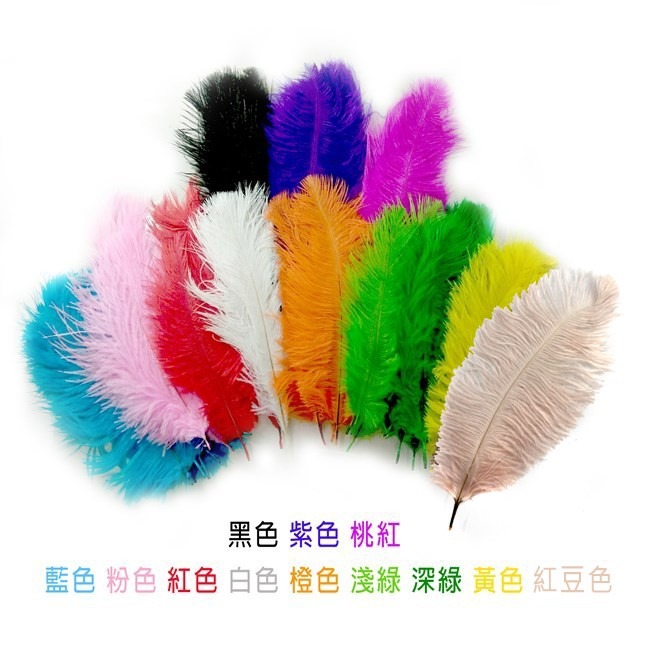 12色 羽毛 鴕鳥羽毛(20-25cm) 鴕鳥毛 DIY 孔明扇硬羽毛 天然羽毛 軟羽毛 彩色羽毛【P550014】-細節圖5