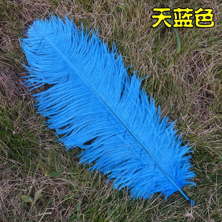 5色 羽毛 鴕鳥羽毛 (40-45cm)DIY配件 硬羽毛 天然羽毛 軟羽毛 彩色羽毛 鴕鳥毛【P550021】-細節圖3