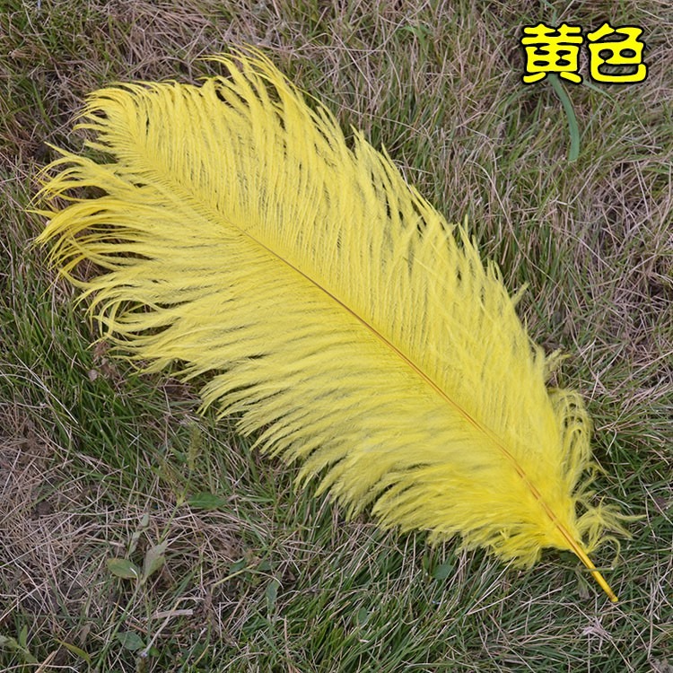 5色 羽毛 鴕鳥羽毛 (40-45cm)DIY配件 硬羽毛 天然羽毛 軟羽毛 彩色羽毛 鴕鳥毛【P550021】-細節圖5