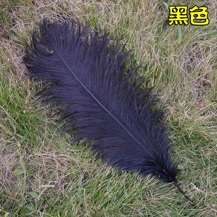 5色 羽毛 鴕鳥羽毛 (40-45cm)DIY配件 硬羽毛 天然羽毛 軟羽毛 彩色羽毛 鴕鳥毛【P550021】-細節圖6