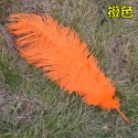 5色 羽毛 鴕鳥羽毛 (40-45cm)DIY配件 硬羽毛 天然羽毛 軟羽毛 彩色羽毛 鴕鳥毛【P550021】-規格圖7