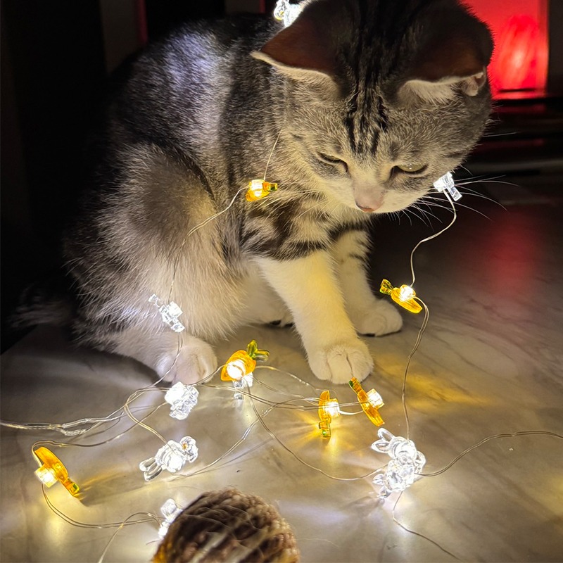 LED 復活節 燈串 銅線燈 200cm 造型燈串 DIY燈條 兔子燈 雞蛋燈串 彩蛋 氣氛燈【M330022】-細節圖7