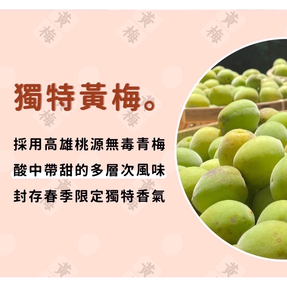 【禾乃川】-台灣豆腐乳（果香黃梅）X3瓶/組-細節圖3