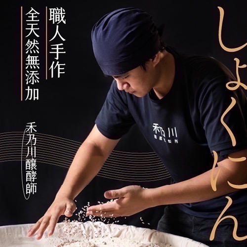 【禾乃川】紫米甘酒 500mlx6入組（宅配 離島不配送)(非酒精性飲品)-細節圖8