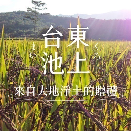【禾乃川】紫米米潤飲 500mlx6入組（宅配 離島不配送)(非酒精性飲品)-細節圖5