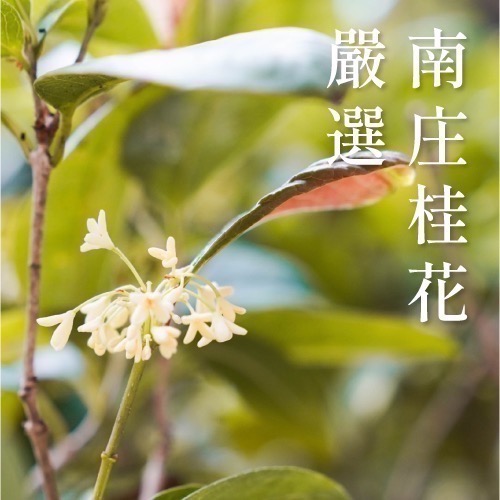 【禾乃川】《 過好日 》桂花甘酒雙入禮盒 x3盒組（宅配 離島不配送)(非酒精性飲品)-細節圖7