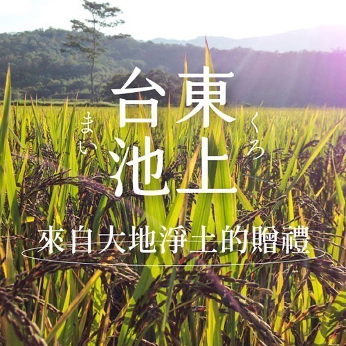 【禾乃川】紫米甘酒500ml(非酒精性飲品)-細節圖3