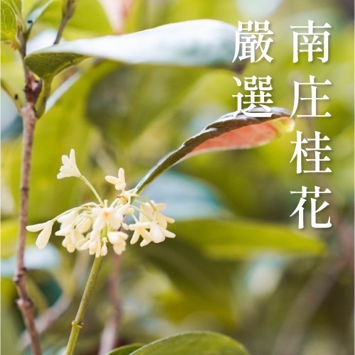 【禾乃川】桂花甘酒500ml(非酒精性飲品)-細節圖6