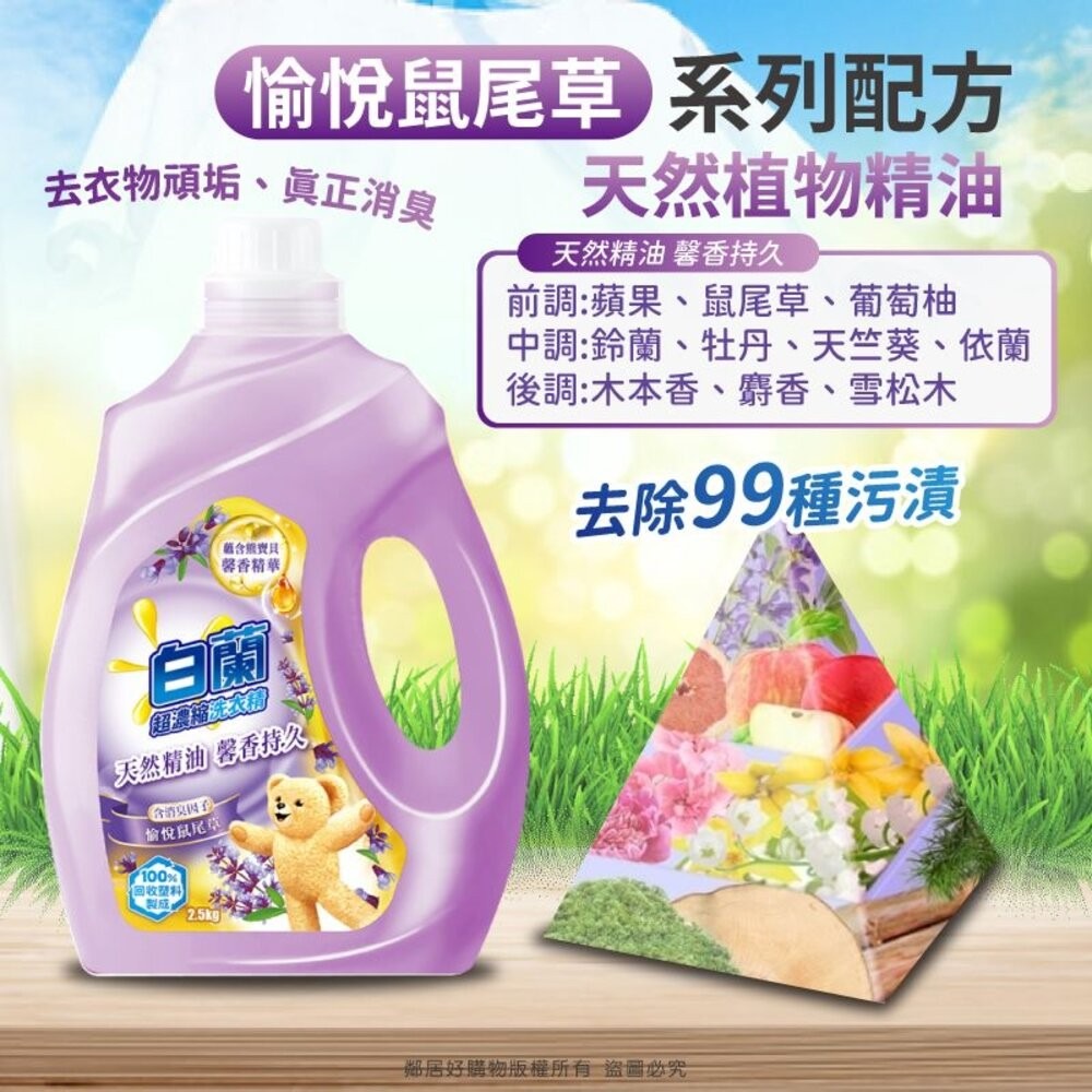 【白蘭】含熊寶貝 馨香精華超濃縮洗衣精-全七款-細節圖4