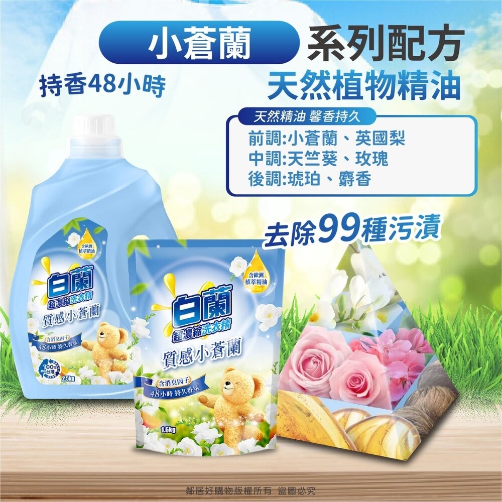 【白蘭】含熊寶貝 馨香精華超濃縮洗衣精-全七款-細節圖5