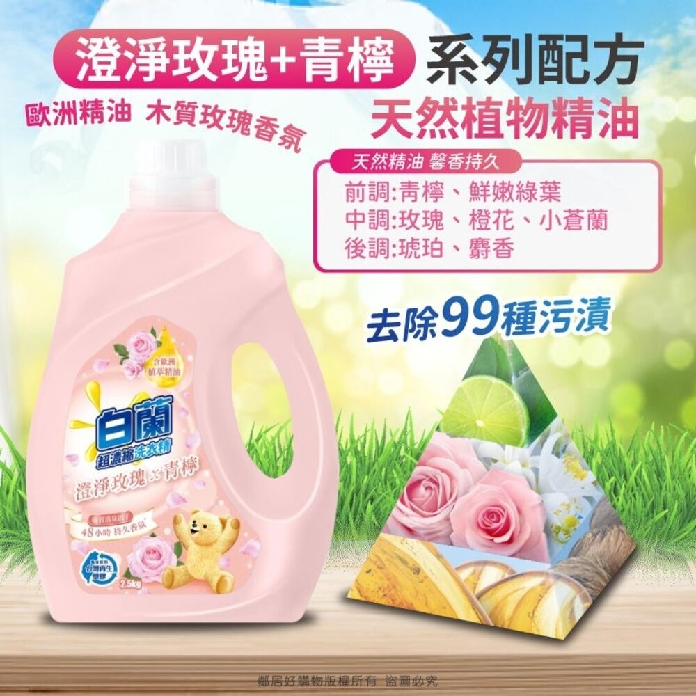 【白蘭】含熊寶貝 馨香精華超濃縮洗衣精-全七款-細節圖3