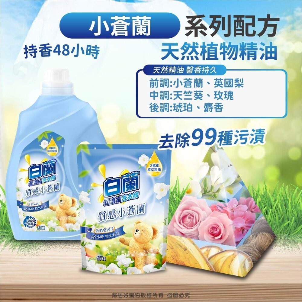 【白蘭】含熊寶貝 馨香精華超濃縮洗衣精-全七款-細節圖5
