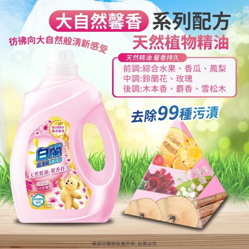 【白蘭】含熊寶貝 馨香精華超濃縮洗衣精-全七款-細節圖9