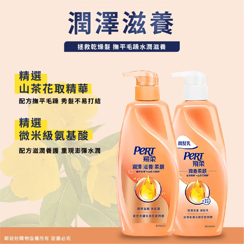 【PeRT飛柔】洗/潤髮750g-(控油去屑/蓬鬆去屑/滋潤去屑/潤澤滋養/亮澤修護)-細節圖6