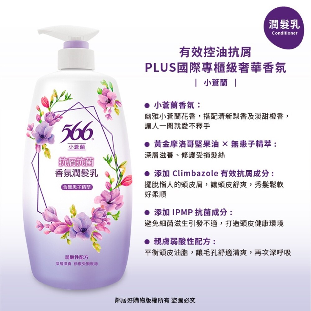 【566】抗菌香氛洗髮精/潤髮乳/補充包-(玫瑰/小蒼蘭/白麝香/金朵茉莉/琥珀麝香)-細節圖8
