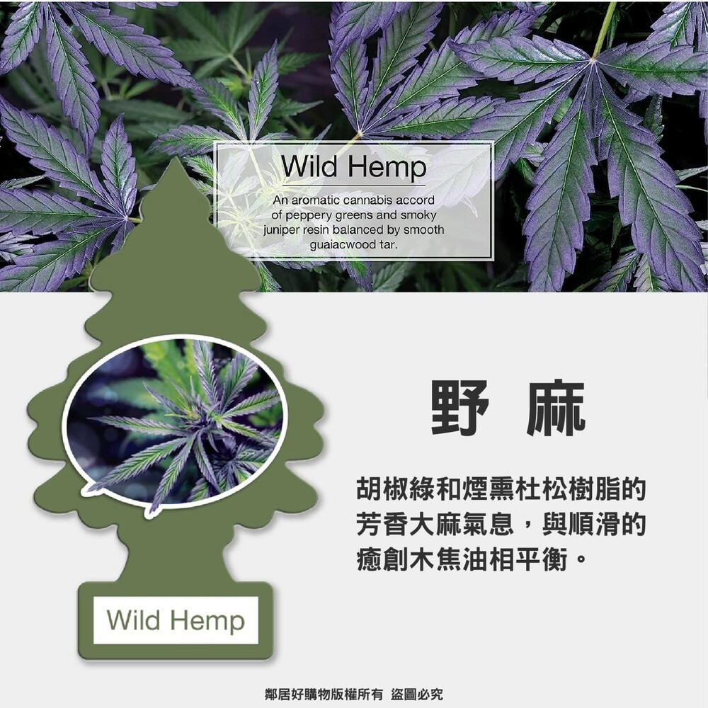 美國【Little Tree 小樹】經典香氛片(多款選擇) 車內芳香 衣櫃香氛-細節圖6