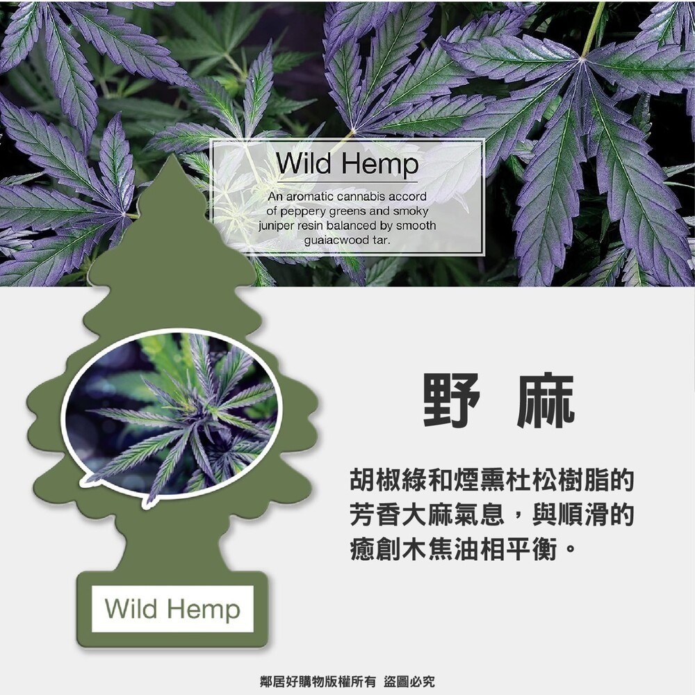 美國【Little Tree 小樹】經典香氛片(多款選擇) 車內芳香 衣櫃香氛-細節圖6