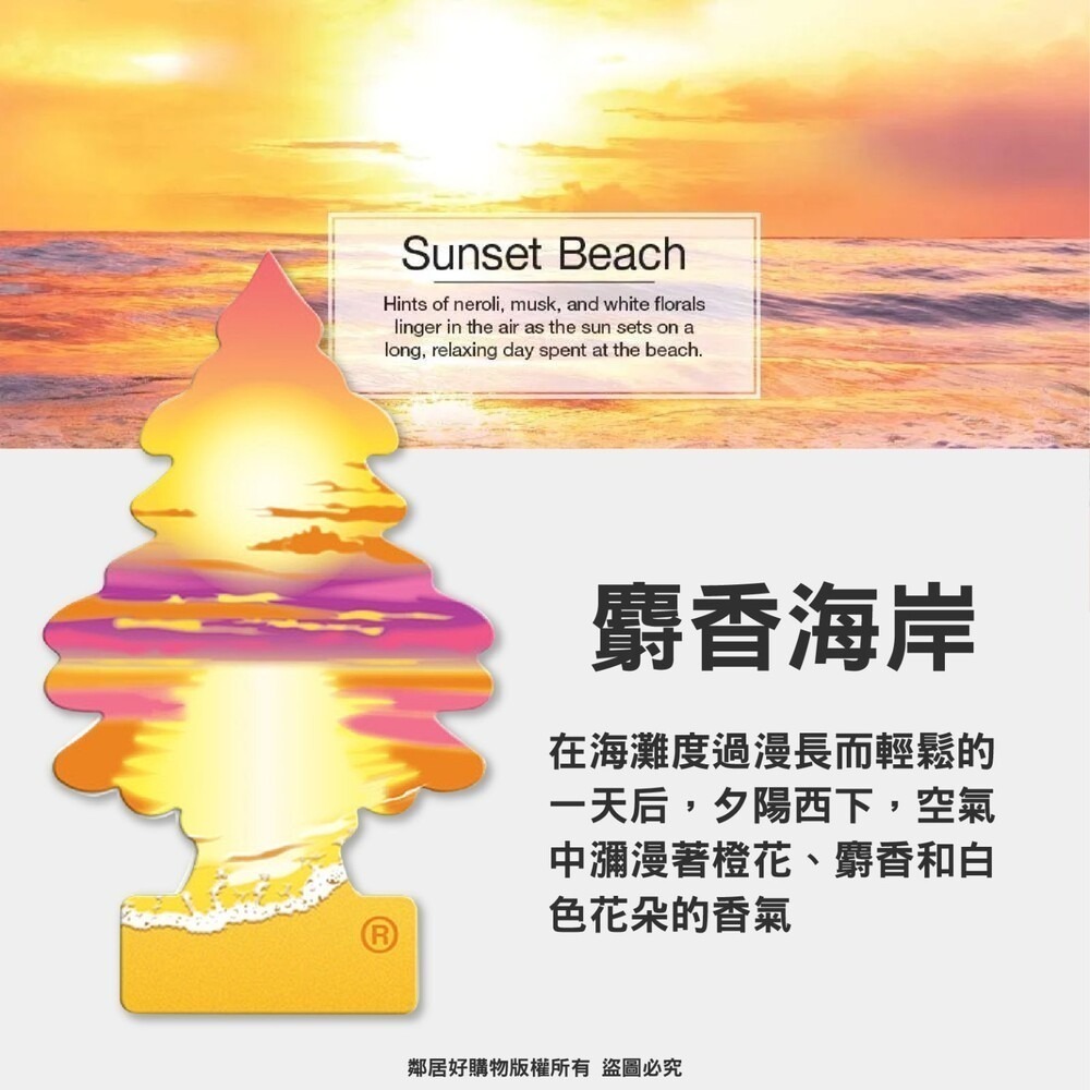 美國【Little Tree 小樹】經典香氛片(多款選擇) 車內芳香 衣櫃香氛-細節圖11