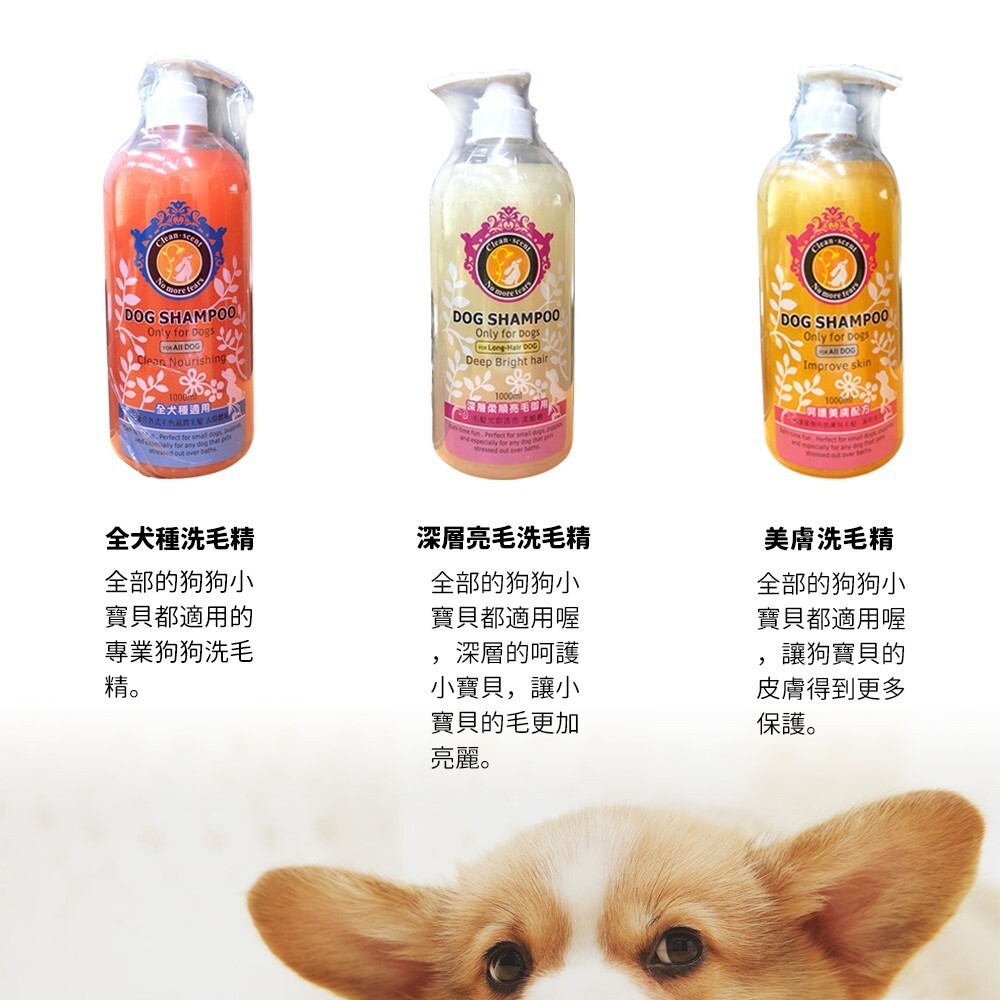 寶麟洗毛精香波1000ml-(有6種功效可選擇喔)-細節圖2