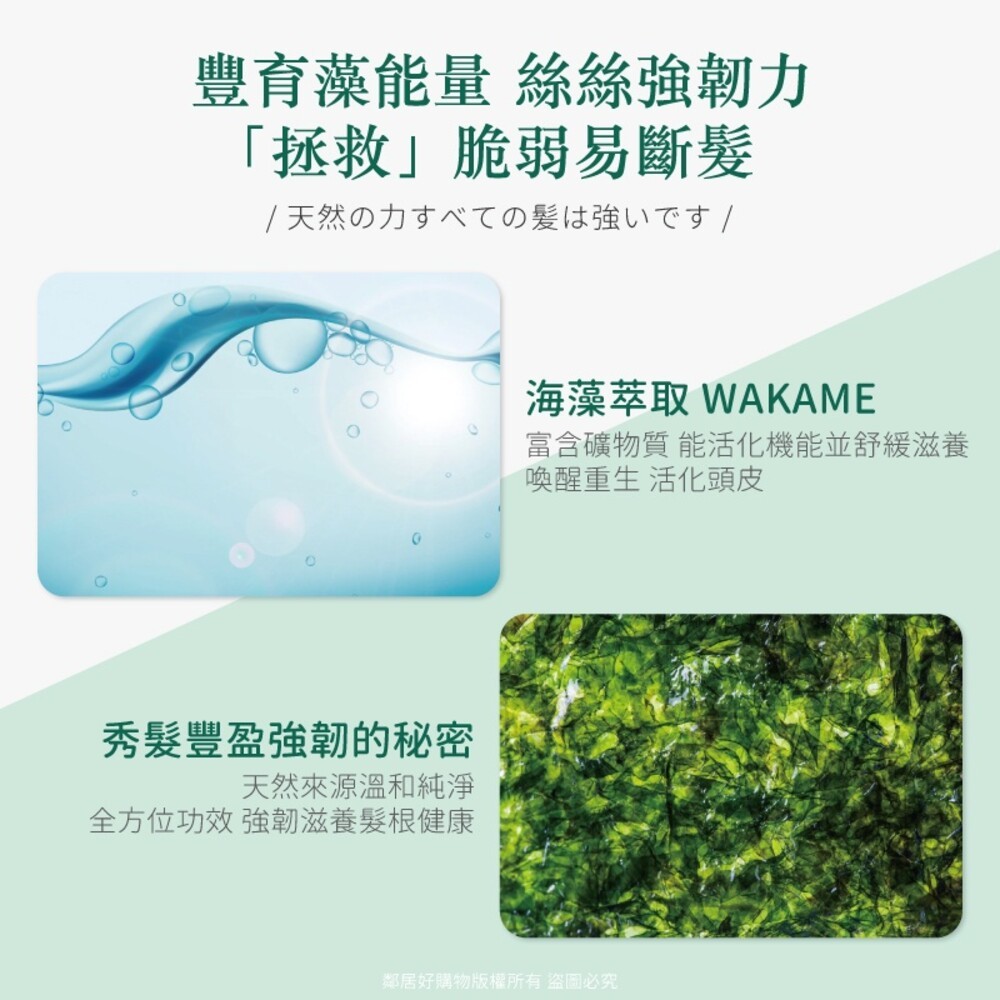 【Syoss絲蘊】日本海藻強健髮根洗髮露 420ml-細節圖3